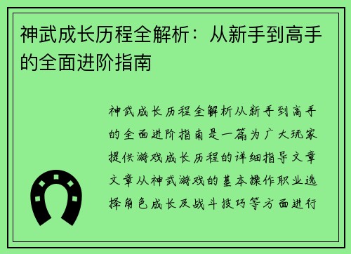 神武成长历程全解析：从新手到高手的全面进阶指南